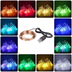 LED USB String Lights Light String Holiday Decoration Garland Fairy Light 10M RGB Christmas New Year Party Festoon led light