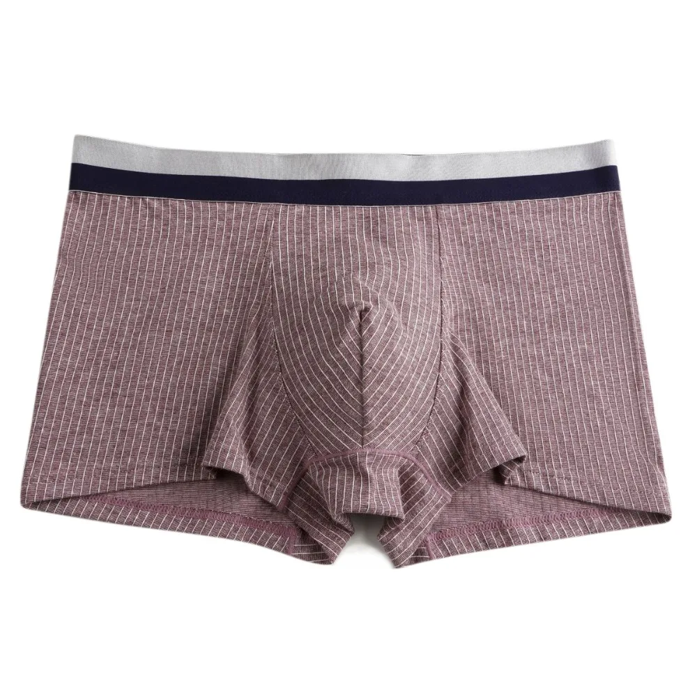 9573798862_2138764293