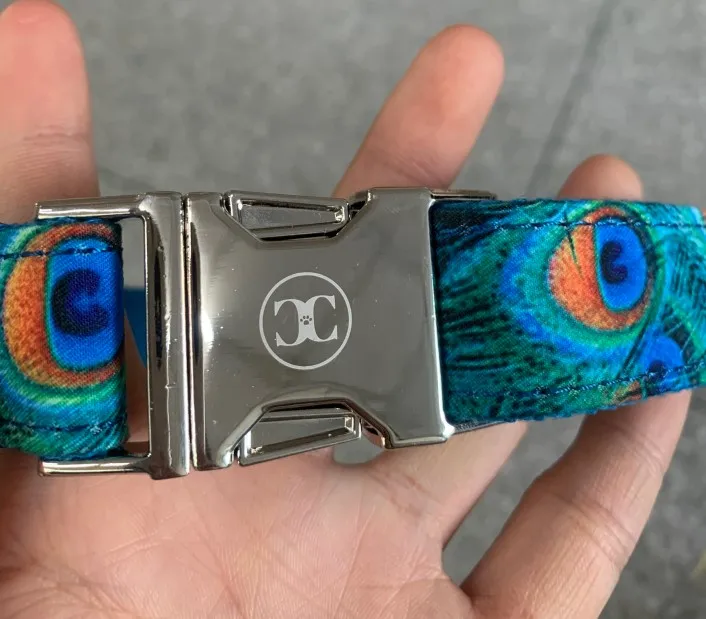 微信图片_202005300704112