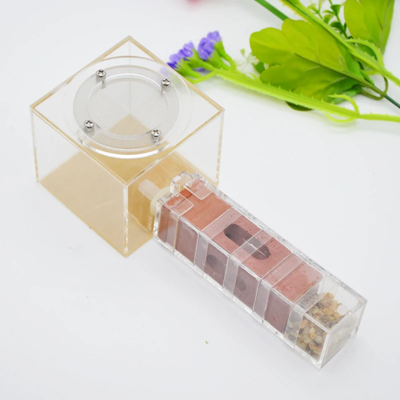 

Ant Breeding Nest Acrylic Ant Farm Plaster Ant Nest Yellow Insect Supplies