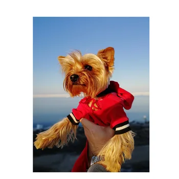 

105x135cm Animals Canvas Painting Posters and Prints Cuadros Wall Art Picture for Living Room