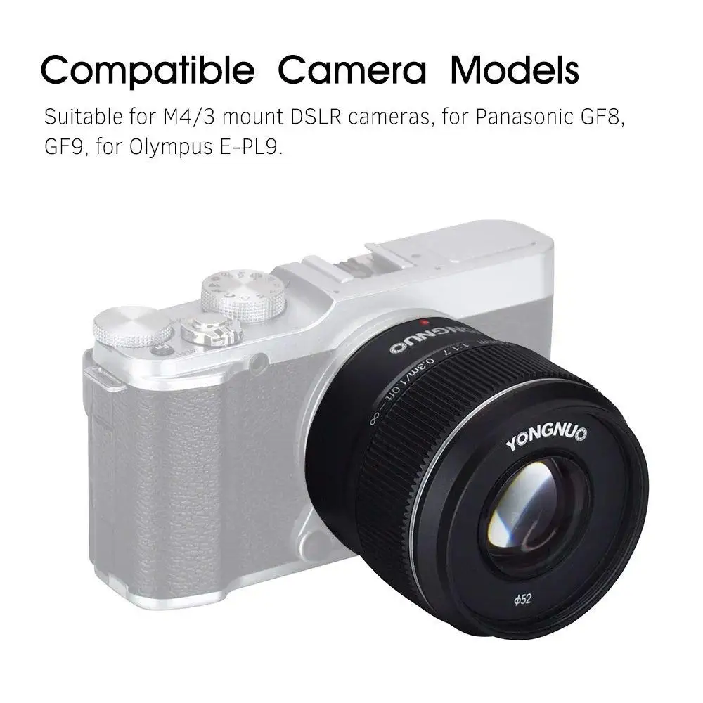 YN42.5mm F1.7M m43  11