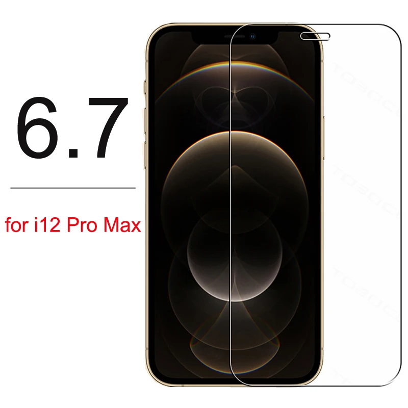 Per iPhone 12 Pro Max