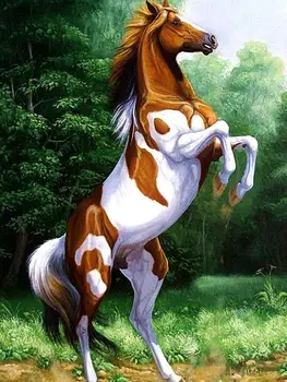 White and brown horse rearing up painting by numbers kit