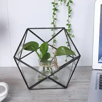 

Plant Container Unique Geometric Glass Planter Container Landscape Decoration for Succulents Moss Fern Plants