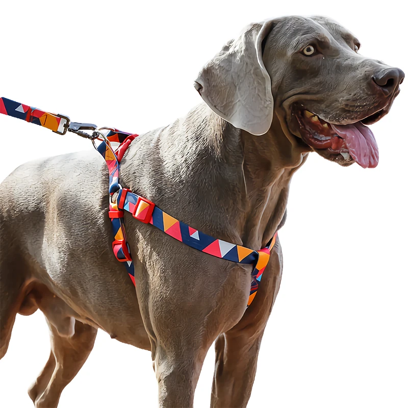 Correa para perros y grandes, Collar mascotas Corgi Golden Retriever Shiba Inu, suministros para perros, accesorios para perros - AliExpress Hogar y jardín