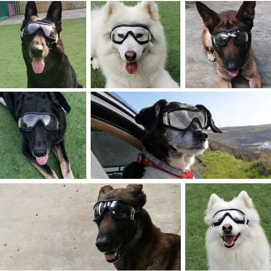ペット用ゴーグル 犬用透明ペットレンズ 防水 防風 紫外線犬用 高品質 耐久性 Aliexpress Home Garden