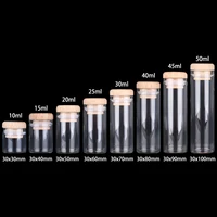 12 pieces/lot 10ml 15ml 20ml 25ml 30ml 40ml 45ml 50ml 60ml Glass Bottles with Solid Wood Caps Spice Jars Vessels DIY Art Crafts 2