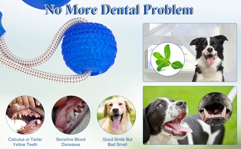 5e395cc1-1de1-4e6d-81b9-55aecdb7a4ee.__CR0,0,970,600_PT0_SX970_V1___