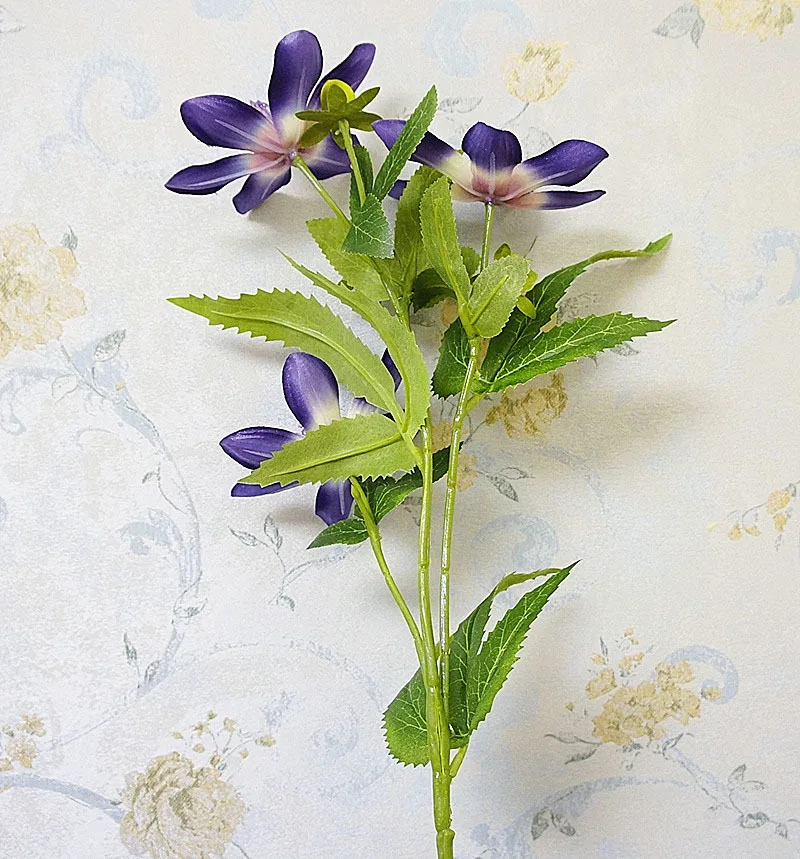 10381654723_874253957