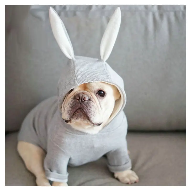 Kawaii зимняя одежда для собак четыре фута одежда для домашних животных Chiwawa jorkie Bomei платья в полоску