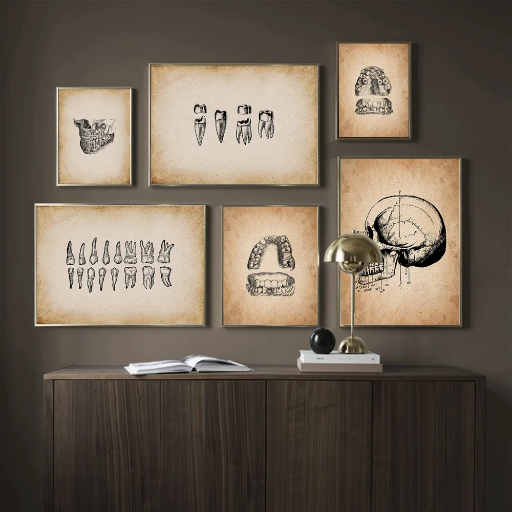 Human Medical Tooth Anatomy Science Vintage Posters Art Prints Nordic Canvas Painting Wall Pictures Medical Doctor Clinic Decor