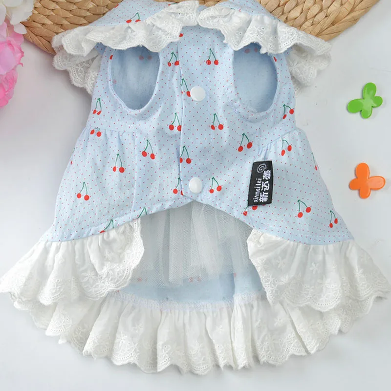 dress3