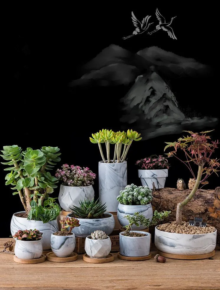 

Original Design Mini Ceramic Succulent Plant Pot Handmade Porcelain Planter Home Decor Flower Pot Bonsai Planter