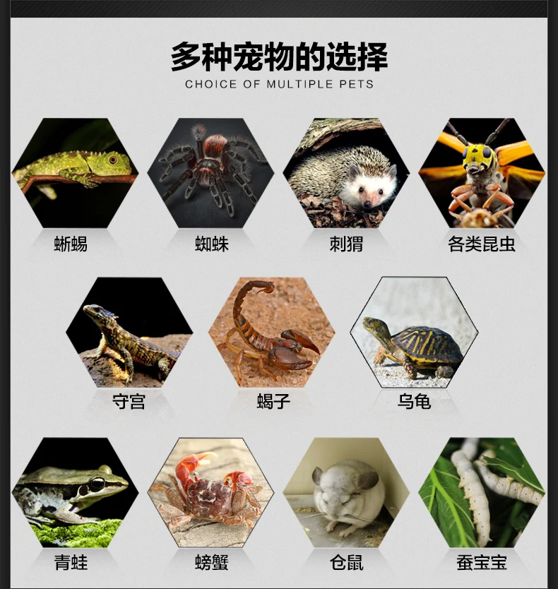 Material p insetos