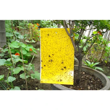 

20pcs Double-Sides Yellow Sticky Trap Flies Trap Insect Stick Wood Board Pest Control Glue Sticker