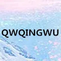 qinxi Store