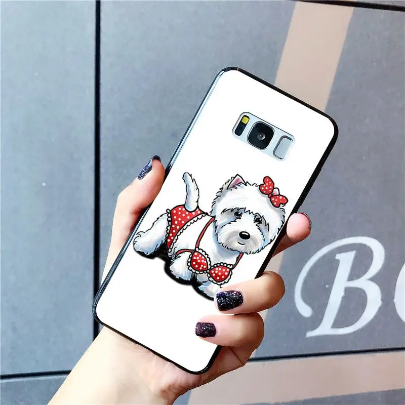 Cute Cartoon yorkshire terrier dog puppy