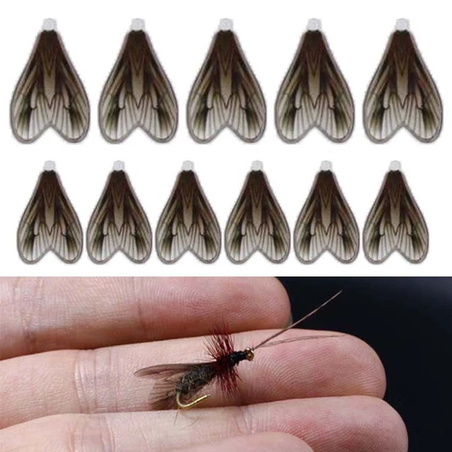 18/36Pcs Super Realistic Adult Flies Wings Stonefly&caddis Fly Tying Wings  Trout Fly Fishing Lures Tying