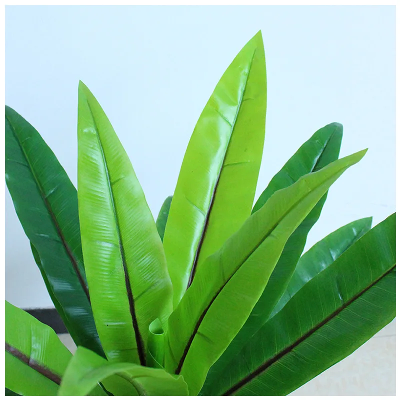 9288988938_451180499