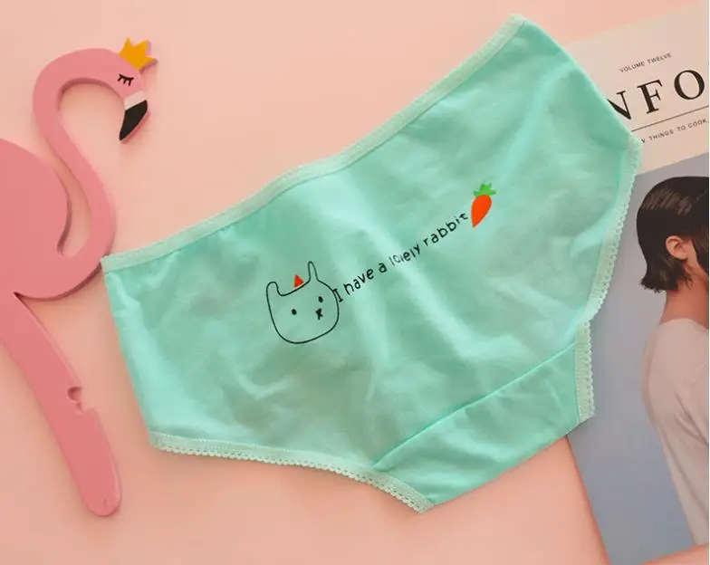 seamless panties (16)