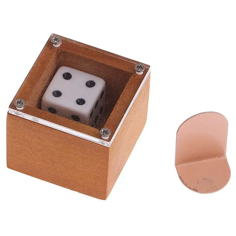 

Hot HG-Predicting Magic Shows - Dice in the Box, Stage Magic Tips