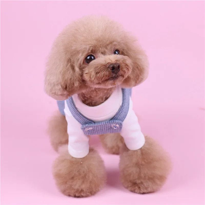 cute puppy jumpsuit (12)