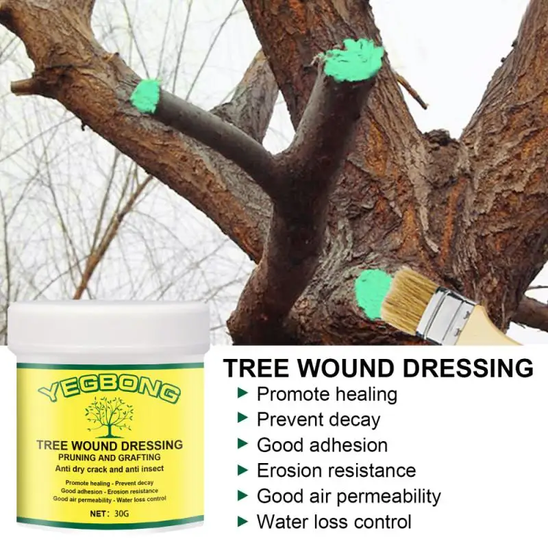 Tree Wound Healing Agent Plant Smear Agent Plant Support Quick Dry 30g
