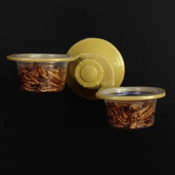 

Suction Cup Reptile Water Food Feeder Wall Hanging Feeding Dish Bowl Spider Breeding Box Tank Dish Pot