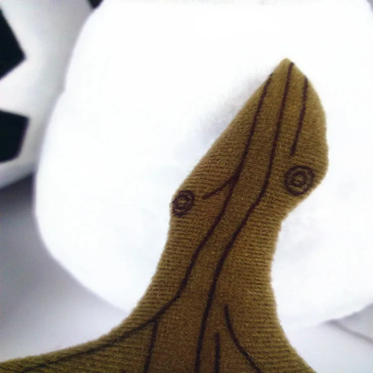 7262679321_682514309