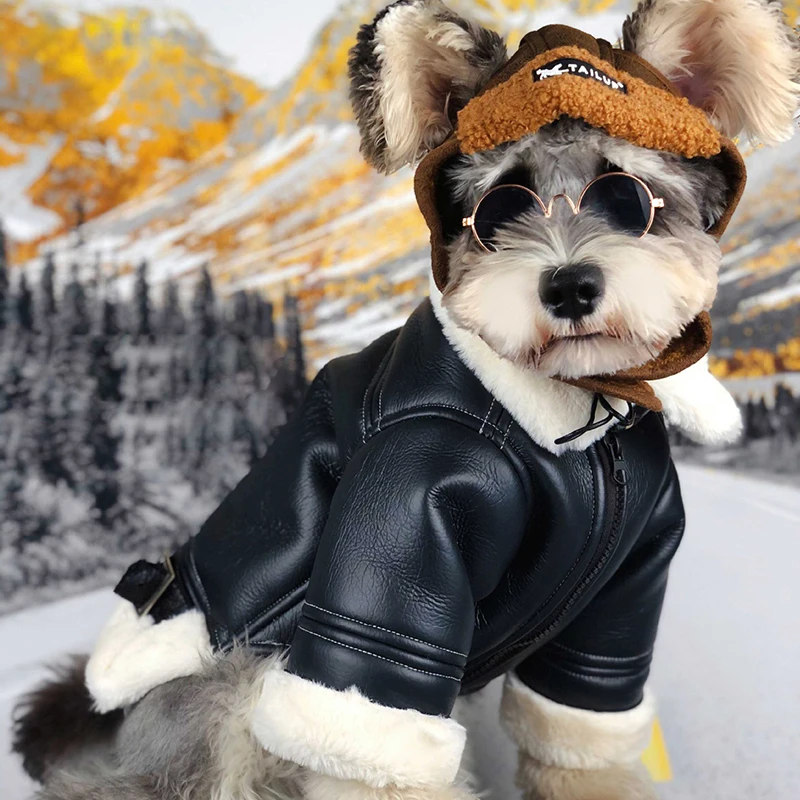 small dog leather jacket