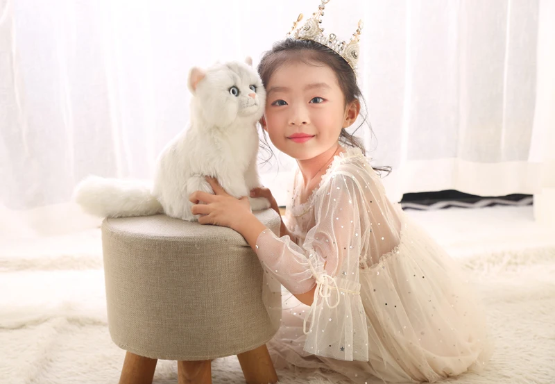 Animais de Pelúcia Brinquedos para Meninas Bonito Branco Pequeno Crianças Pelúcia Simulado Mini Simulação Animais Peluches Simulacion Gato Kk6fzm 6 High Quality Brinquedos e hobbies