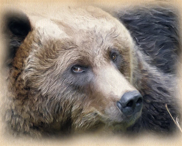 Картина на холсте, животные, настенные художественные волки, плакаты и принты, настенные картины для гостиной, современное Скандинавское украшение для дома, Настенный декор - Цвет: 2