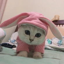 Симпатичная одежда для домашних животных, котов Чихуахуа Зимние толстовки с принтом в виде героев мультиков, пальто собака щенок котенок плащ свободного покроя для малых и средних собак из мягкой флисовой ткани, костюм Симпатичная одежда для домашних животных, котов Чихуахуа Зимние толстовки с принтом в виде героев мультиков, пальто собака щенок котенок плащ свободного покроя для малых и средних собак из мягкой флисовой ткани, костюм