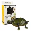 Simulation Swing Walk Remote Control Turtle Anti-wear Tires Eye Lights Early Learning Cognition Realistic Form Electric RC Toys 4