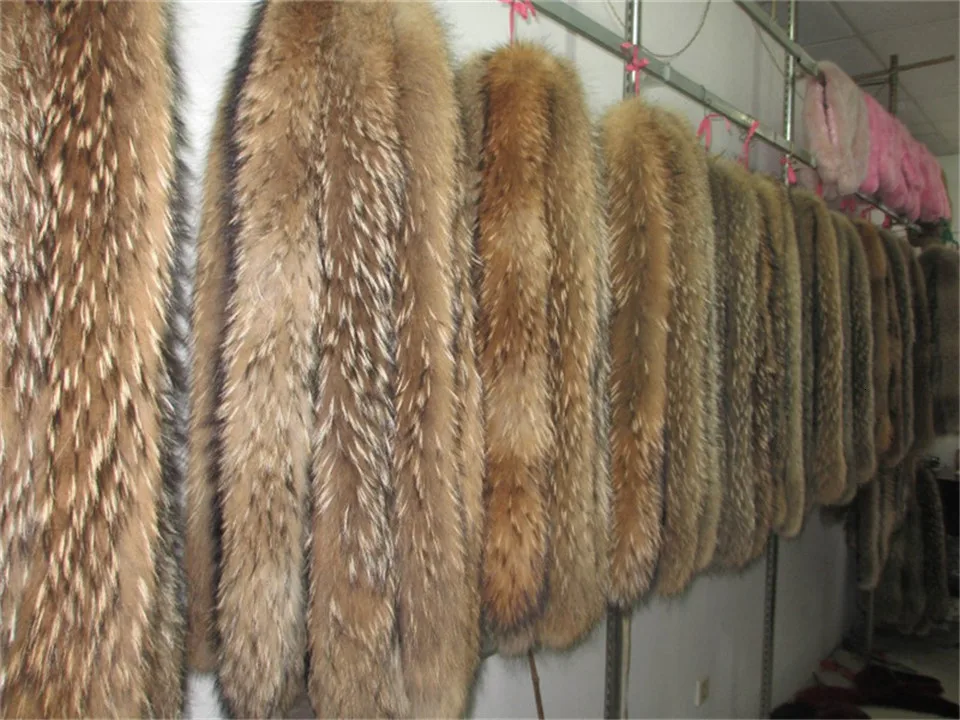 HTB1ugu9KXXXXXbYaXXXq6xXFXXXg