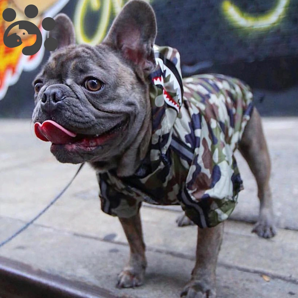 camo dog jackets winter