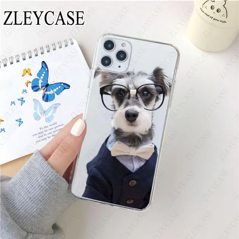 Miniature schnauzer puppy dog