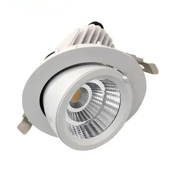 

Super Bright 12W 20W 30W 40W LED Trunk Light Gimbal Light Adjustable COB Gimable Rotation Recessed Ceiling Downlight AC85-265V