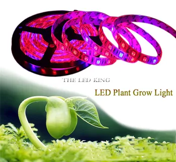 

12V Full Spectrum Led Grow Light Strip Red +Blue Growing Lamp Waterproof IP65/IP20 For Hydroponics Flowers Plants Vegetables