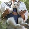 Hoopet Pet Cat Carrier Fashion Travel Bag Dog Backpack Breathable Pet Bags Shoulder Puppy Carrier ► Photo 3/5
