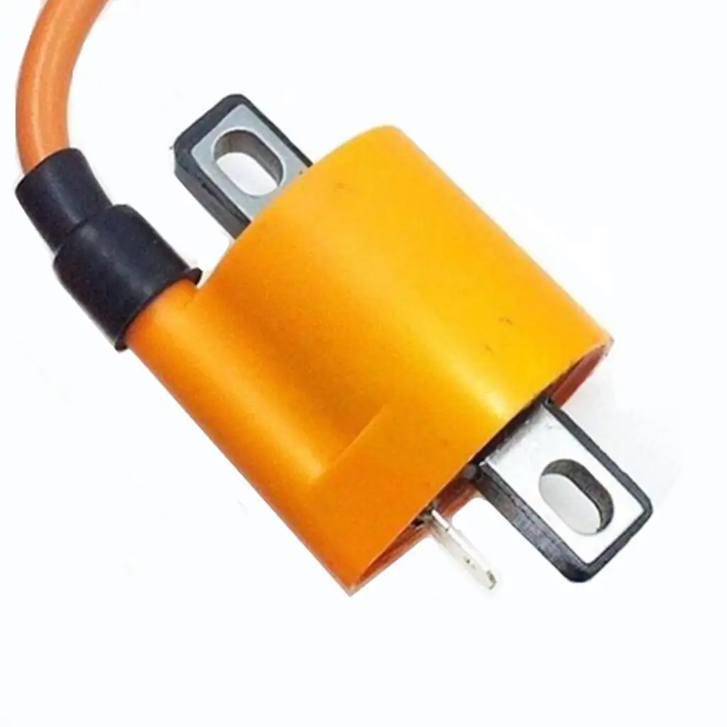 Motorcycle Ignition Coil for CG 125cc 150cc 200cc ATV Quad Dirt Pit Bike