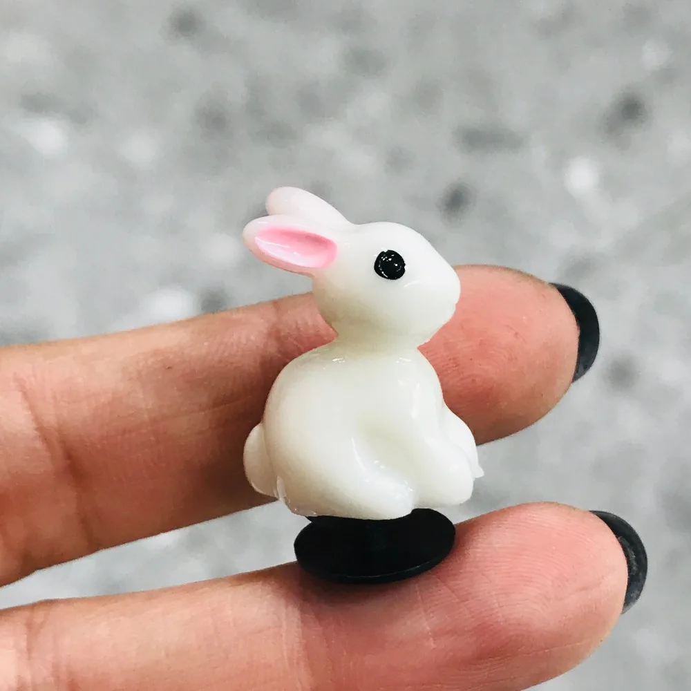 IMG_2836(20201113-174228)