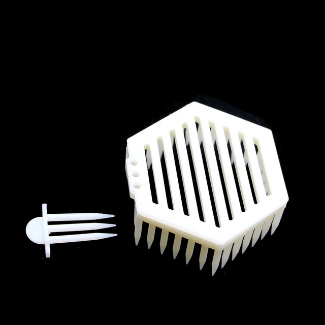 16 db Szűz Méh Ketrec Professzionális Intrudukciós Műanyag Tűcsap Típusú Queen Tenyésztő Apikultúra Szerszámok - Image 3