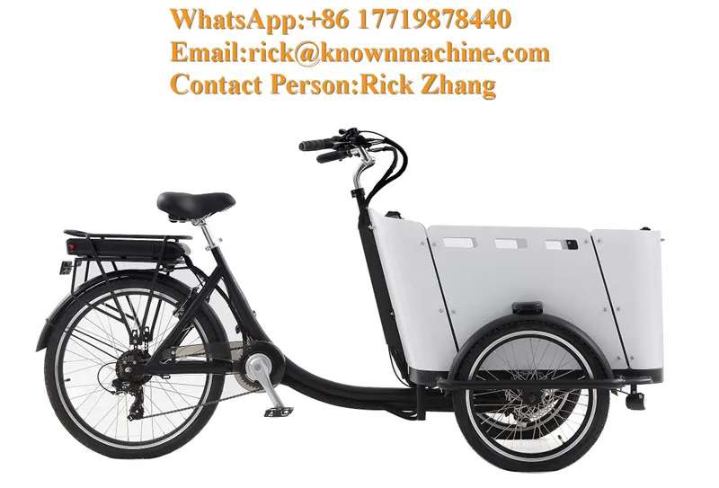 Bakfiets Pedal Electric 3 Wheel 