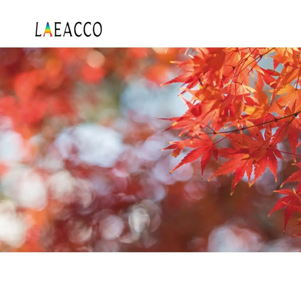 

Laeacco Vinyl Backdrop Autumn Red Yellow Maples Fantasy Polka Dot Light Bokeh Baby Newborn Love Portrait Photograph Backgroundic