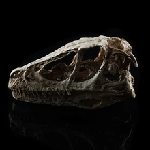 Смоляные реплики череп динозавра модель животного вечерние реквизит для украшения Хэллоуин декоративные принадлежности