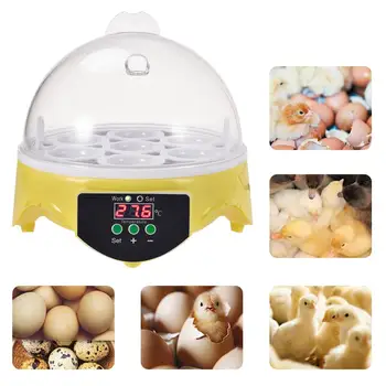

Mini Egg Incubator Automatic Incubator Duck Bird Egg Small Poultry Incubator Digital Chicken Breeding Box