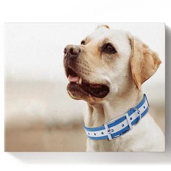 

Animal Dog Labrador Paint by Numbers on Canvas 30X40CM DIY Paint by Numbers Living Room Decoration Gift
