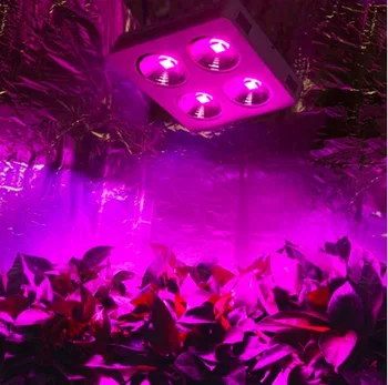 

Newest COB Full Spectrum Led Grow Light 800w DIY High Power for indoor Hydroponic Grow Box for Medical plant grow tent